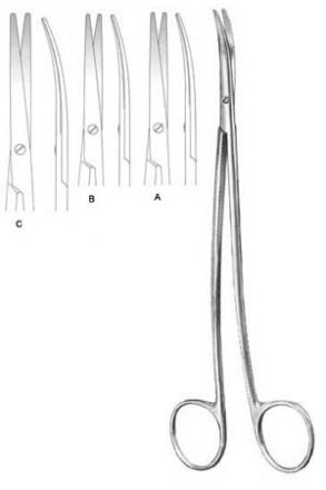 AS21-249